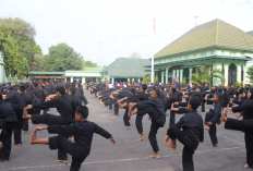 Perbedaan PSHT 16 dan 17 yang Harus Warga Ketahui, Ternyata Ini Dia Hal yang Paling Menonjol!