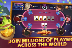 Kode Penukaran Domino Hari Ini, 24 Desember 2023 dan Cara Redeemnya,Dapatkan Chip Gratis Hingga Ratusan Juta