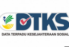Cara Cek DTKS Kemensos Hari Ini 3 Januari 2024 Bantuan Uang Tunai Hingga Sembako Dari Pemerintah, Periksa Apa Namamu Terdaftar