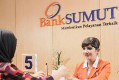 Cuan Melimpah! Spill Daftar Gaji Karyawan Bank Sumut Terbaru Tahun 2023 yang Bikin Pengen Resign 