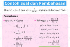 Cara Mengerjakan Latihan 1.5 Kimia Kelas 11 Kurikulum Merdeka, Ternyata Bisa Pakai Fungsi Invers 