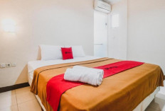 Nyaman Banget! Rekomendasi Hotel Transit Bogor Terbaru 2024, Booking Sekarang Untuk Tahun Baruan!