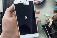 4 Cara Mengatasi HP Redmi Mati Nyala Sendiri, Ketahui Penyebab dan Cara Jitu Atasinya!