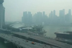 Daftar Lengkap 10 Perusahaan Indonesia yang Kena Peringatan Pemerintah Singapura yang Diduga Picu Kabut Asap Lintas Batas 