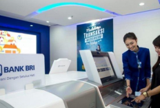 Tabel Angsuran BRI Umum Non KUR Februari 2024, Plafon Hingga Rp115 Juta hingga Tenor Panjang