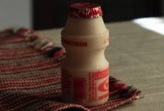 Manfaat Yakult Untuk Penyakit Wasir,  Ada 6,5 Miliar Bakteri Baik yang Bantu Lancarkan BAB