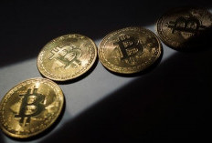 Rekomendasi Aplikasi Mining Bitcoin Android Yang Terbukti Membayar, Auto Cuan Tanpa Takut Boncos 