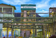 PT Toba Pulp Lestari Milik Siapa? Politisi Ini jadi Sorotan, Usai Banjir di Sumatera Viral!