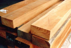 Cara Menghitung Kebutuhan Kayu Balok, 1 Kubik Untuk Berapa Meter? Sesuaikan dengan Kebutuhanmu