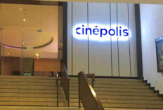 Jadwal Film CINEPOLIS LIPPO PLAZA Jogja Hari Ini 24, 25, 26 Maret 2023: Cocok Untuk Ditonton Bersama Keluarga