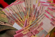 Apakah Idnvidias (NVIDIA) Com Terbukti Membayar Atau Hanya Scam Saja? Investasi Penghasil Uang Terbaru Modal Rp5 Ribu