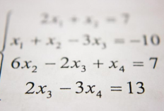 Rumus Matematika Materi Mean, Median, Modus Kelas 12 SMA/MK Beserta Fungsi dan Sifatnya Tahun 2023
