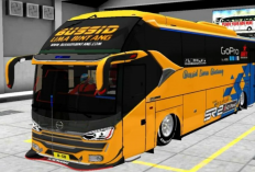 Download Livery BussID Arjuna XHD Jetbus 3, Tampil Kece Bak Sultan dengan Skin Paling Dicari