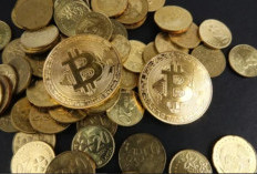 Apakah RioTinton Penghasil Uang Terbukti Membayar? Waspada Scam! Cek Disini Fakta Kebenarannya