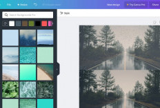 Kumpulan Akun Canva Pro Gratis Desember 2023 Terbaru, langsung Gercepin Fitur Premiumnya Buat Editing Makin Mantap 