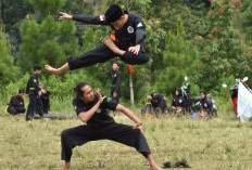 5 Gambar Pagar Nusa Gerakan Silat Bagus, Pose Terbaik Untuk Foto Keren!