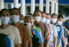 Sebanyak 25 Ribu TKI Dipulangkan dari Mana Saja? BP2MI Sebut Pekerja yang Dikembalikan Akibat Ilegal!