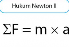 Hukum Newton 2: Pengertian, Bunyi, Rumus, dan Contoh Soal