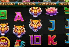 Room Jackpot Higgs Domino Hari Ini 5 Mei 2023 Bawa Pulang Scatter Burung Hijaunya