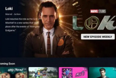 Penyebab Disney Hotstar Content Not Available dan Cara Mengatasinya, Jangan Keburu Uninstall Dulu 