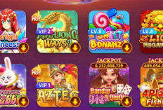 Download Royal Dream MOD APK + X8 Speeder Terbaru 2024 Unlimited Chip, Game Slot Penghasil Uang Paling Dicari