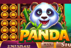 Cara Mendapatkan JP Room Panda Higgs Domino Island 5 Bambu dan 2 Teratai Auto Win