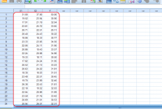 Tutorial Menghitung Standar Deviasi di SPSS, Dilengkapi dengan Cara Membaca Analisis Hasil Datanya