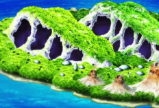 Arc Little Garden One Piece Est Dans Quel Épisode, Découvrez L'info Complète Ici
