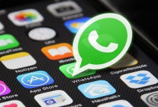 Free Download Plus Versi Terbaru 2024, Unduh Official Gratis Untuk Android dan iOS