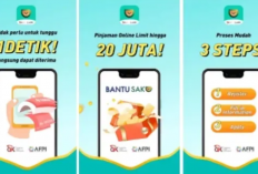 Apakah Bantu Saku Ada DC Lapangan Atau Tidak? Ternyata Begini Resiko Gagal Bayar Pinjaman Online