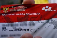 Cek Daftar Nama Penerima Bantuan DTKS Kemensos Hari Ini 17-31 Januari 2024 Yuk Periksa Apakah Nama Kamu Terdaftar Di Sini 
