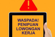 Apakah PT Harmas Persihable Logistics Penipuan? Cek Disini! Begini Ulasan dari Pelamarnya