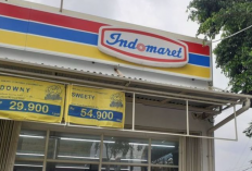 Promo Indomaret Hari Ini JSM 9, 10, 11 Februari 2024: Ada Frestea Gratis! Nikmati Banyak Diskon Murah Lainnya