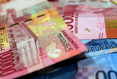 Ingin Usaha Tapi Bingung Dana? Daftar 7+ Yayasan Ini Bisa Berikan Modal dengan Syarat Mudah dan Resmi OJK