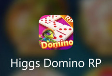 GRATIS! Download Higgs Domino RP Apk V5.30 Terbaru 2024 Tanpa Iklan dan X8 Speeder Full Gacor
