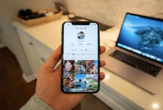 Apa FYP TikTok Hari Ini? Yuk, Simak Jadwal Posting dan Prime Time yang Bikin Konten Mudah Viral!