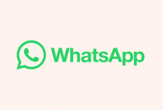 Link Grup WA Video Viral Terbaru 2024 Hari Ini, Update Hot News Setiap Saat Tanpa Syarat!