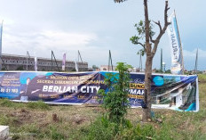 Waspada! Loker PT Araya Berlian Perkasa Benarkah Penipuan? Begini Pengalaman dari Mantan Pelamarnya!