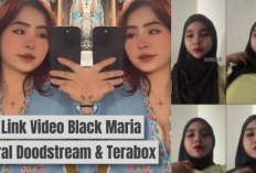 Link Video Black Maria Tanpa Sensor Bocor di TikTok, Tuai Kontroversi Hingga Banyak Diburu!