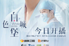 Nonton Drama China The White Castle (2023) Episode 22 SUB Indo, Wang Qiang Berutang Budi Ke Profesor Liu