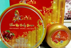 Cara Cek Kandungan Cream Wajah Grya Beauty Apakah Mengandung Merkuri atau Tidak, Intip Caranya Disini!