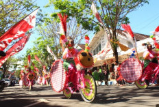 Cara Membuat Sepeda Hias Dari Kardus yang Mudah Untuk Anak Laki-Laki dan Prempuan 