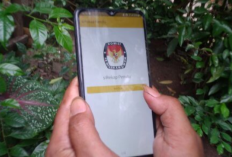 Cara Atasi 'Terjadi Kesalahan Dalam Penyiapan Perangkat' Pada Aplikasi Sirekap, Masalah Kelar dalam 5 Menit!