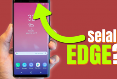 Kenapa HP Android Sinyal EDGE Terus? Kenali Penyebab dan Cara Mengatasi Berikut Ini!