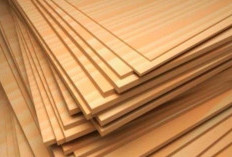 CATAT! Jenis-Jenis Triplek Yang Harus Kamu Tau, Tentukan Yang Pas Untuk Furnitur Rumahmu!