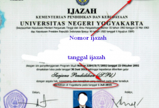 Nomor Ijazah Sekolah yang Mana? Berikut Penjelasan Lengkap Disertai Gambar