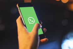 No WA Cowok Jomblo Ganteng Kelas 6 SD Terbaru 2023 dan Masih Aktif, Cocok Banget Jadi Teman Chatting
