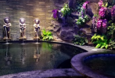 Ini Dia Daftar Cabang Orchid SPA Terbaru 2023! Tempat Pijat Spa Plus Pria Populer Paling Diminati