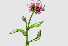 Tips Menggambar Bunga dengan Mudah, Pemula Wajib Tau Agar Tidak Kesulitan!