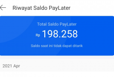 5 Menit Langsung Cair! Begini Cara Pinjam Uang di Lazada PayLater Terbaru, Syaratnya Cukup Siapkan Ini